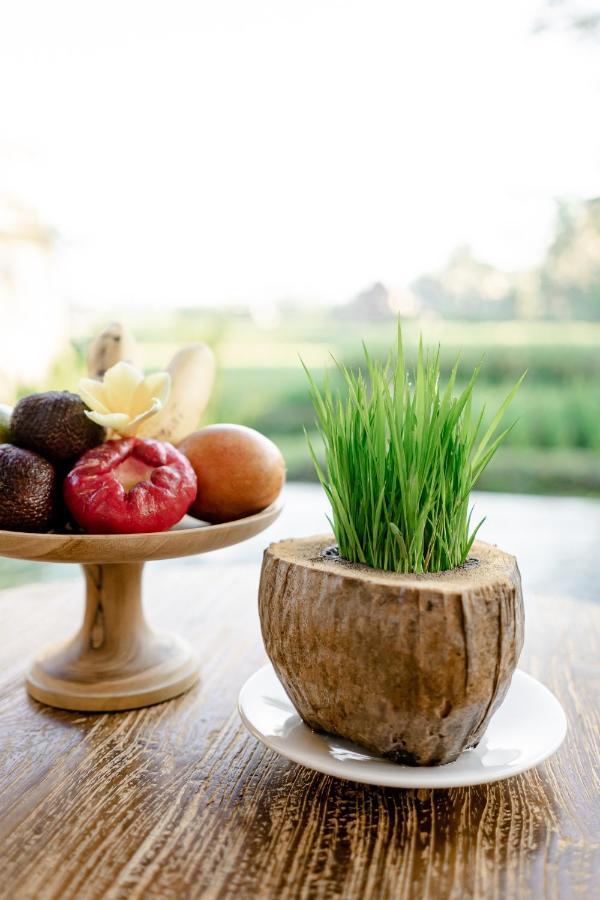 Poka Ubud Hidden Paradise & Spa By Eps Buitenkant foto
